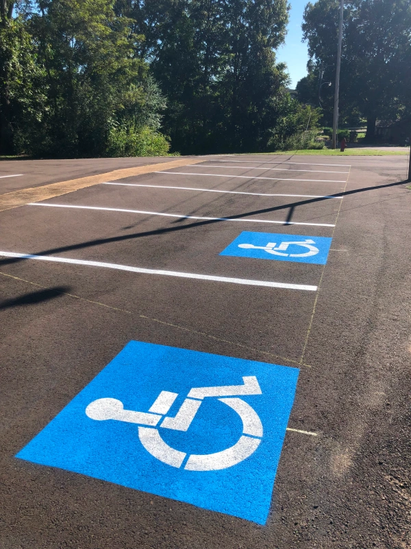 ADA Handicap Symbols — Fresh Lot